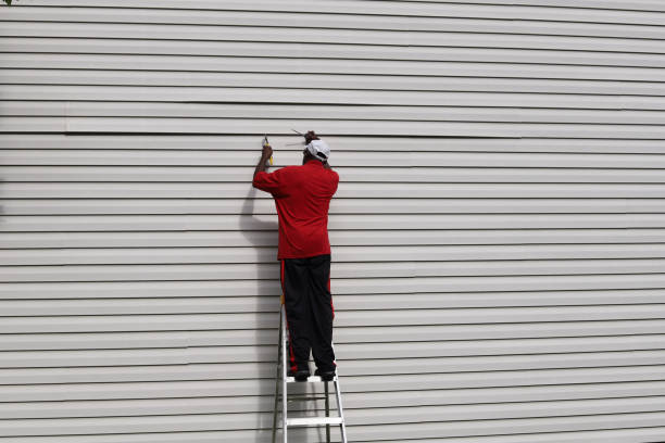 Best Vinyl Siding Installation  in Whitney, NV