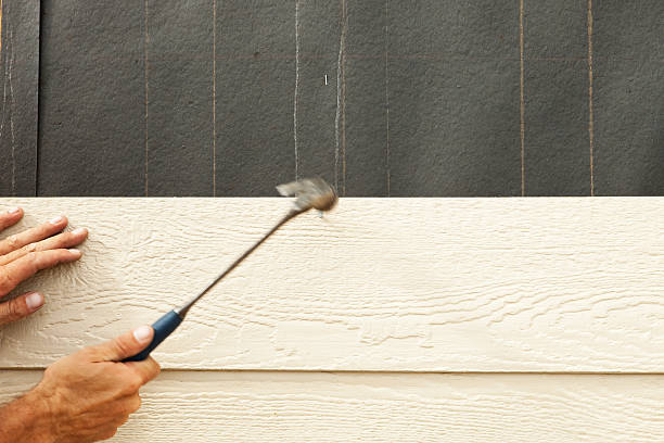 Best Steel Siding Installation  in Whitney, NV